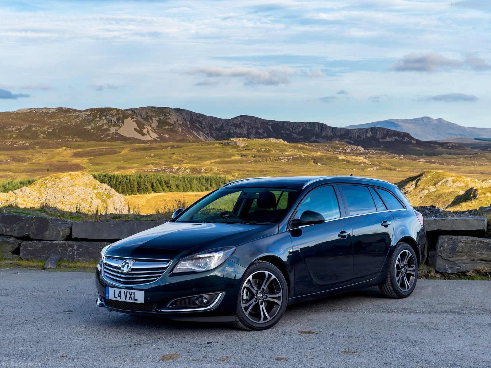 Opel Insignia stance